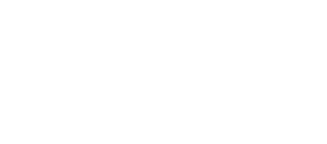 Hyundai Finance