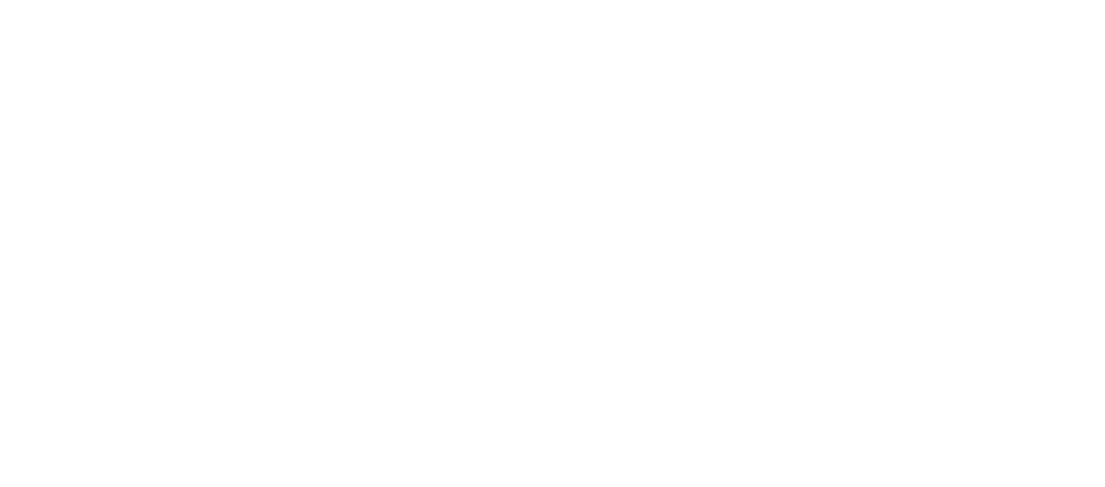 Mega Auto Finance